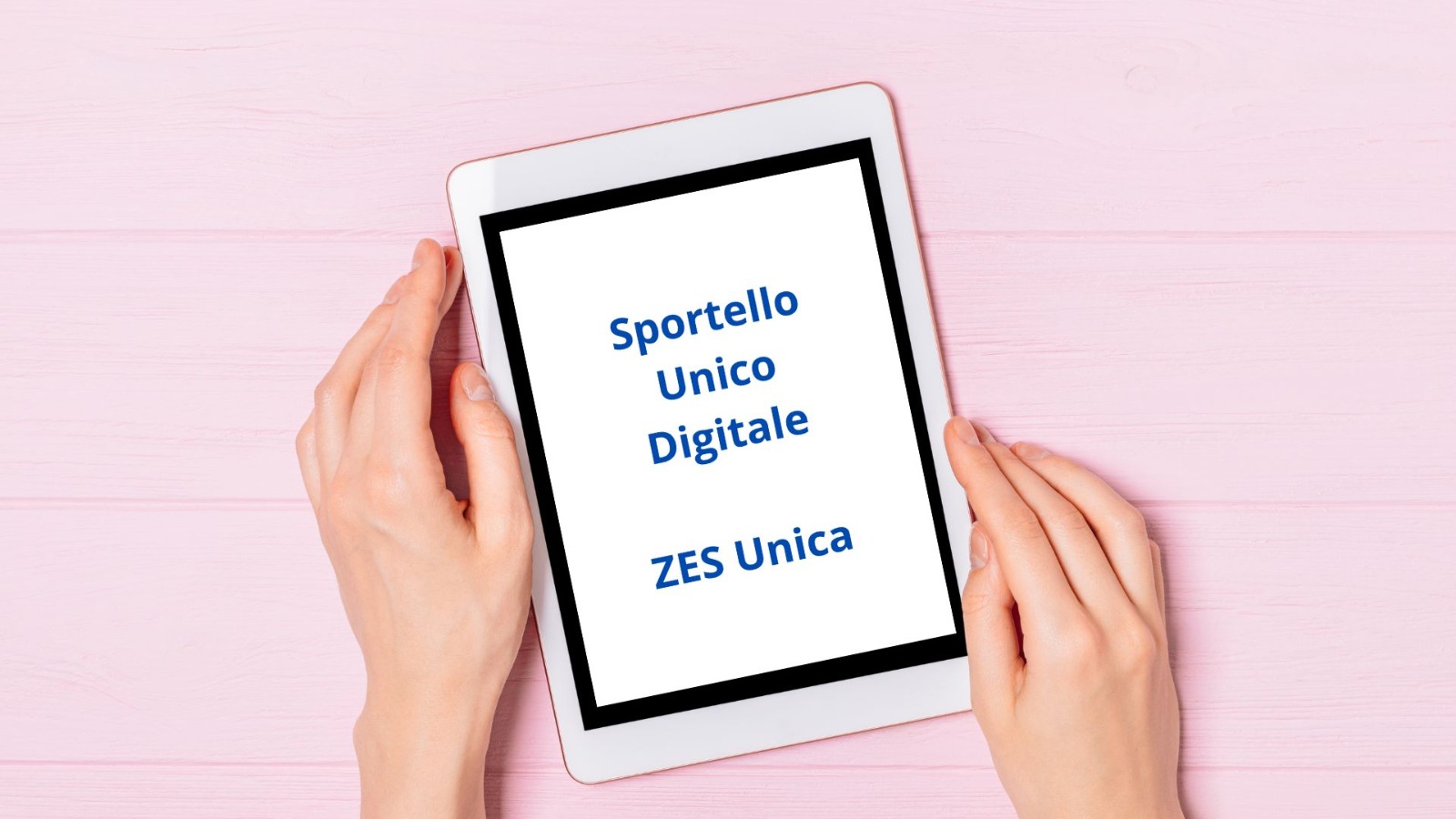 sportello unico digitale